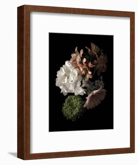 Midnight Hydrangea-Julie Greenwood-Framed Art Print