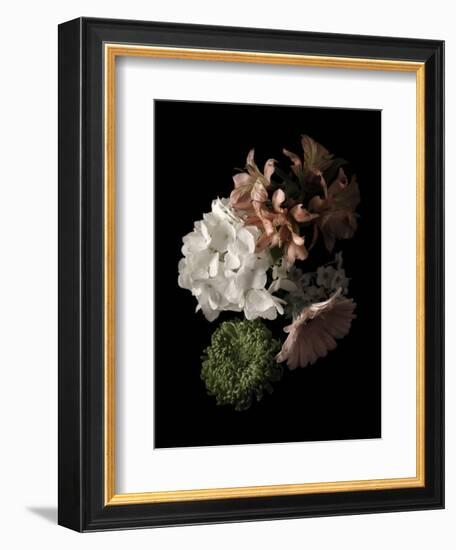 Midnight Hydrangea-Julie Greenwood-Framed Art Print