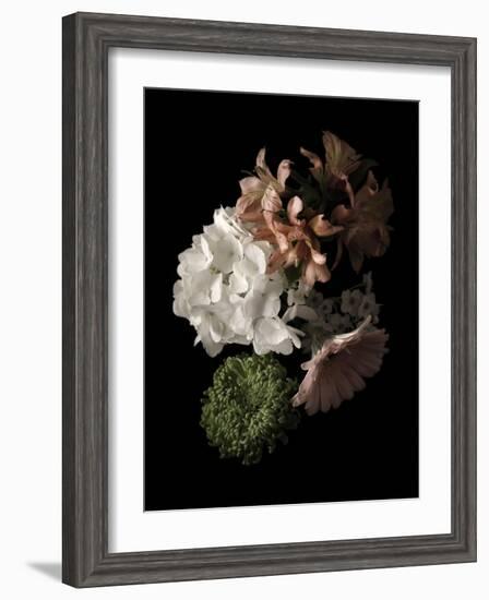 Midnight Hydrangea-Julie Greenwood-Framed Art Print