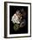 Midnight Hydrangea-Julie Greenwood-Framed Art Print