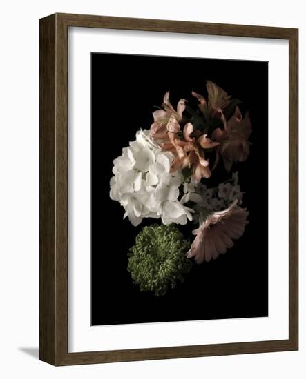 Midnight Hydrangea-Julie Greenwood-Framed Art Print