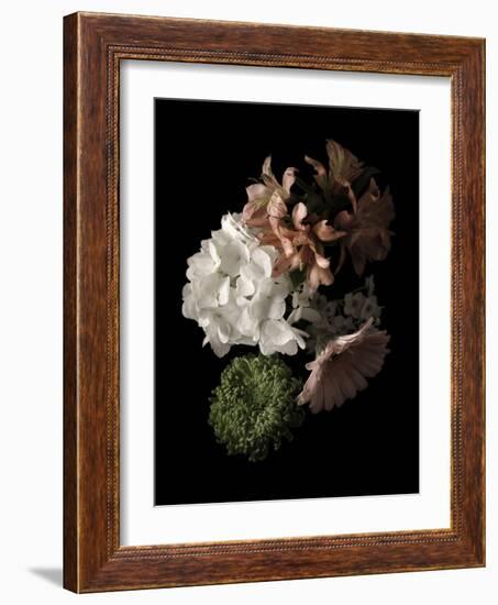 Midnight Hydrangea-Julie Greenwood-Framed Art Print