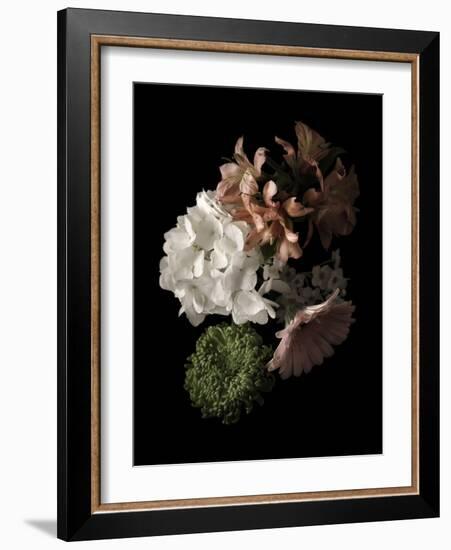 Midnight Hydrangea-Julie Greenwood-Framed Art Print