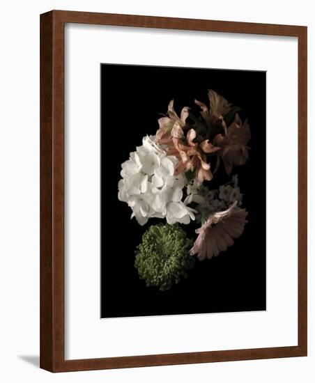 Midnight Hydrangea-Julie Greenwood-Framed Art Print