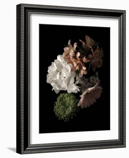 Midnight Hydrangea-Julie Greenwood-Framed Art Print