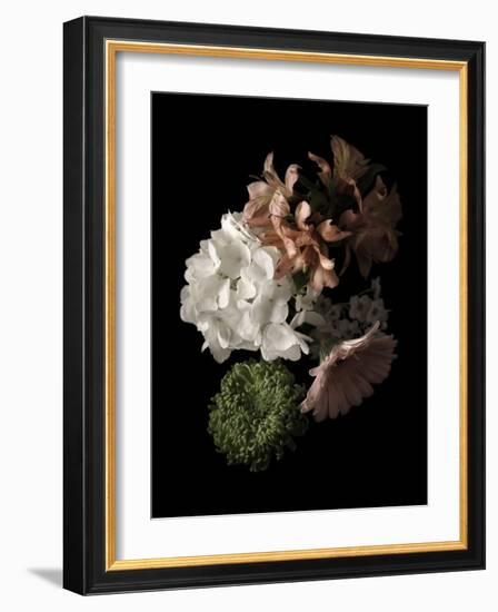 Midnight Hydrangea-Julie Greenwood-Framed Art Print