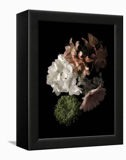 Midnight Hydrangea-Julie Greenwood-Framed Stretched Canvas