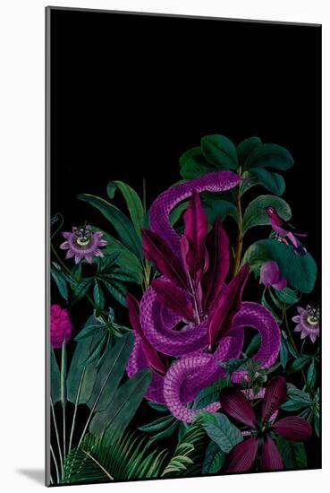 Midnight Jungle Snake-Andrea Haase-Mounted Giclee Print
