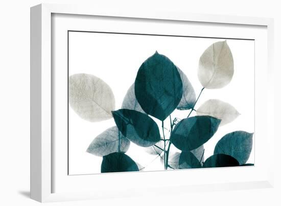 Midnight Leaves 1-Kimberly Allen-Framed Art Print