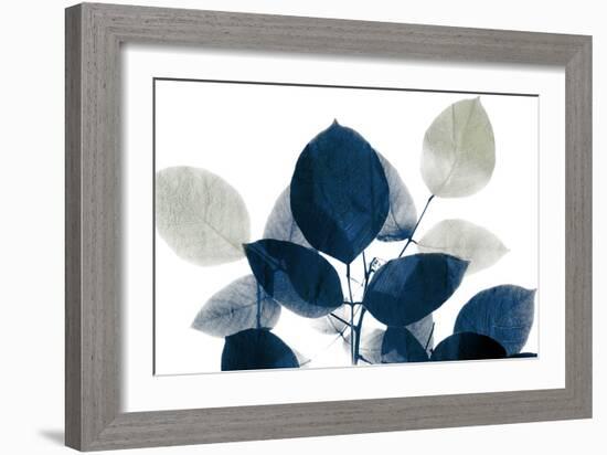 Midnight Leaves 1a-Kimberly Allen-Framed Art Print