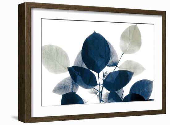 Midnight Leaves 1a-Kimberly Allen-Framed Art Print