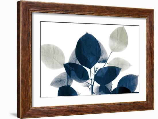 Midnight Leaves 1a-Kimberly Allen-Framed Art Print