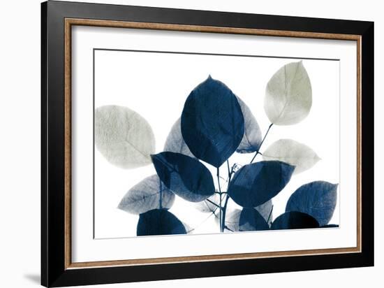 Midnight Leaves 1a-Kimberly Allen-Framed Art Print