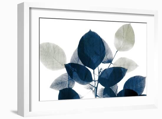 Midnight Leaves 1a-Kimberly Allen-Framed Art Print