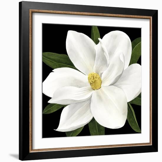 Midnight Magnolia II-Grace Popp-Framed Art Print