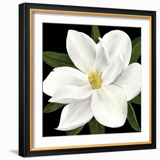 Midnight Magnolia II-Grace Popp-Framed Art Print