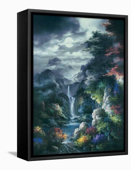 Midnight Mist Canyon-James Lee-Framed Stretched Canvas