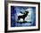 Midnight Moose-LightBoxJournal-Framed Giclee Print