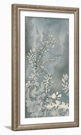 Midnight Musings-Tania Bello-Framed Giclee Print