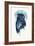 Midnight Owl-Robert Farkas-Framed Giclee Print