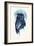 Midnight Owl-Robert Farkas-Framed Giclee Print