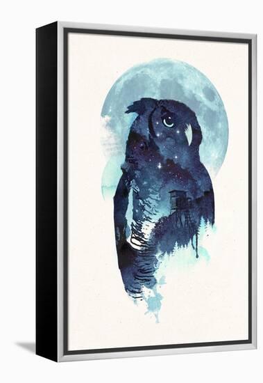 Midnight Owl-Robert Farkas-Framed Premier Image Canvas