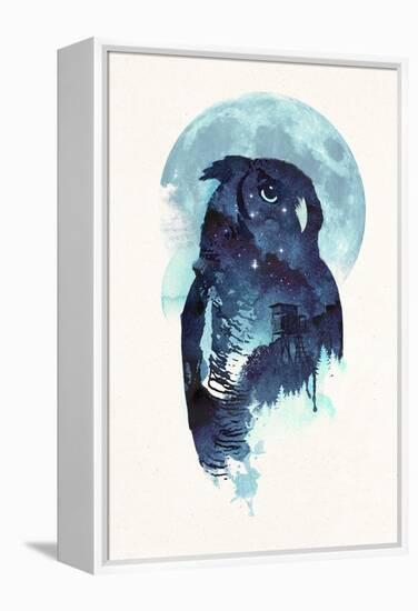 Midnight Owl-Robert Farkas-Framed Premier Image Canvas