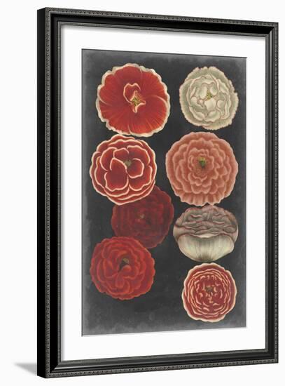 Midnight Poppies-Vision Studio-Framed Art Print