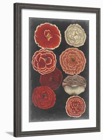 Midnight Poppies-Vision Studio-Framed Art Print