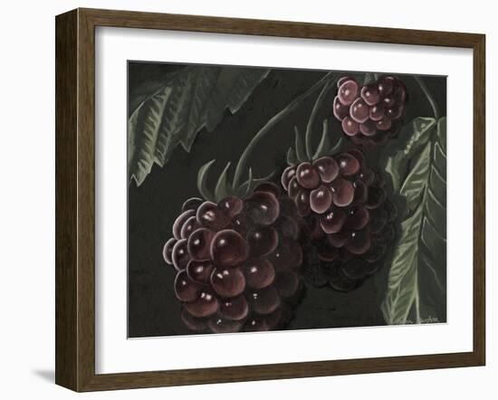 Midnight Raspberries-Megan Meagher-Framed Art Print