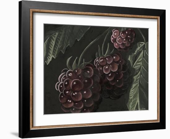 Midnight Raspberries-Megan Meagher-Framed Art Print