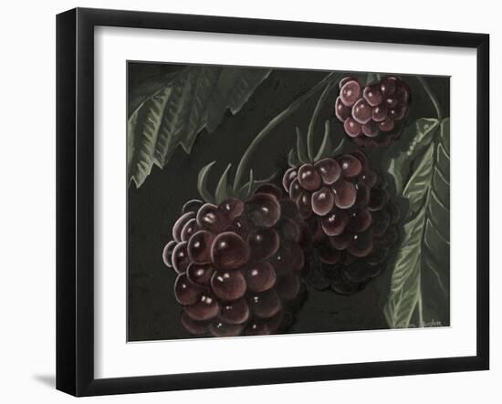 Midnight Raspberries-Megan Meagher-Framed Art Print