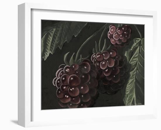 Midnight Raspberries-Megan Meagher-Framed Art Print