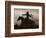 Midnight Rider-Barry Hart-Framed Art Print