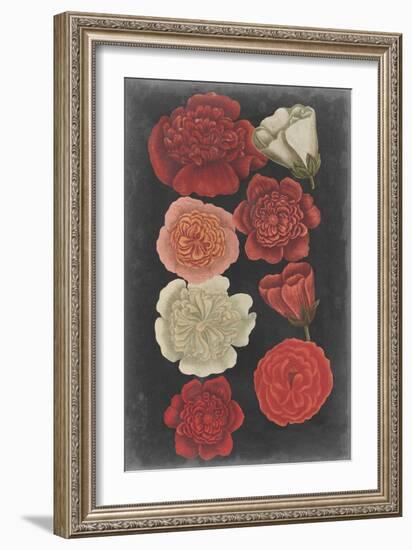 Midnight Roses-Vision Studio-Framed Art Print