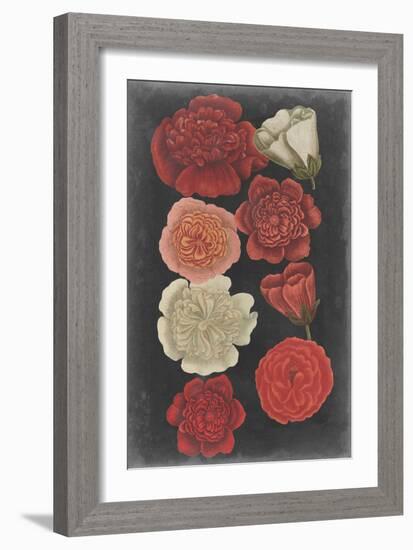 Midnight Roses-Vision Studio-Framed Art Print