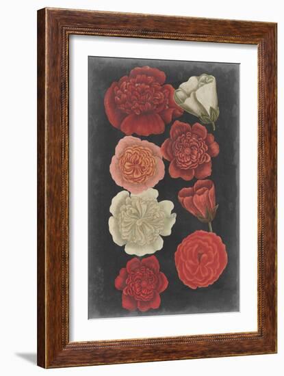 Midnight Roses-Vision Studio-Framed Art Print