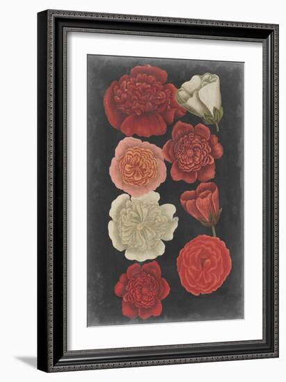 Midnight Roses-Vision Studio-Framed Art Print