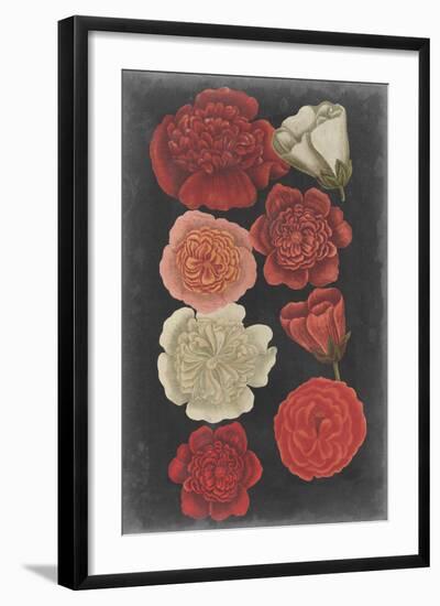 Midnight Roses-Vision Studio-Framed Art Print