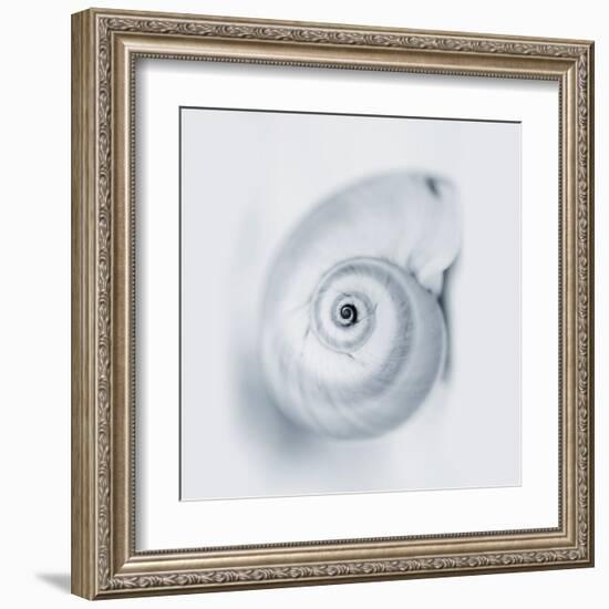 Midnight Snail-Tracey Telik-Framed Art Print