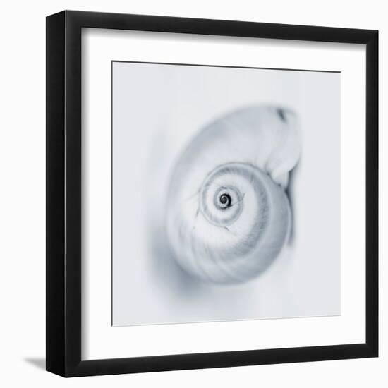 Midnight Snail-Tracey Telik-Framed Art Print