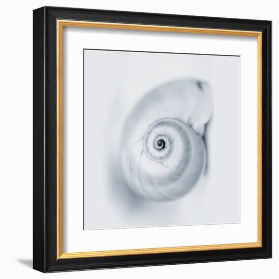 Midnight Snail-Tracey Telik-Framed Art Print