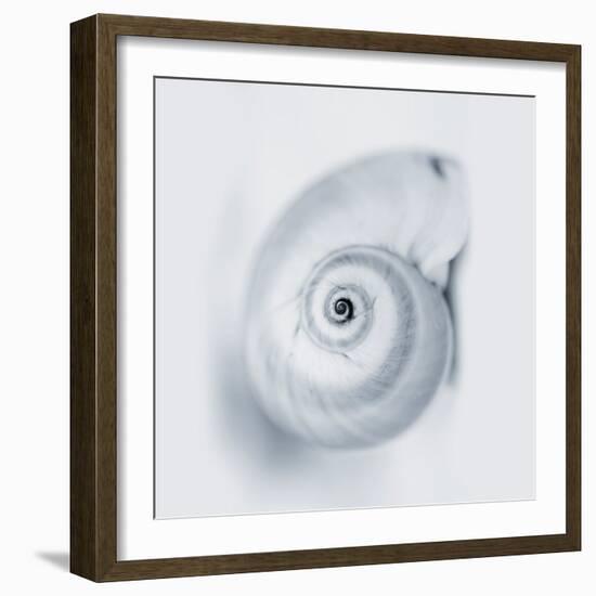 Midnight Snail-Tracey Telik-Framed Art Print
