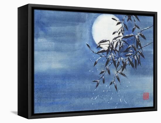 Midnight Snow-Nan Rae-Framed Stretched Canvas