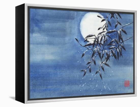 Midnight Snow-Nan Rae-Framed Stretched Canvas