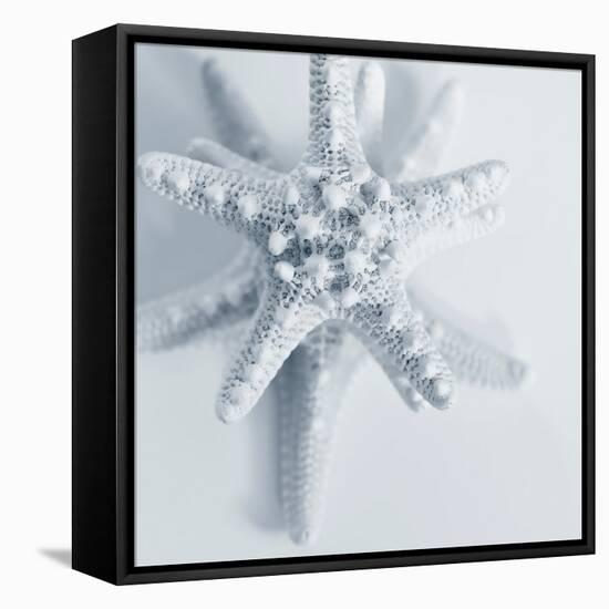 Midnight Starfish-Tracey Telik-Framed Stretched Canvas