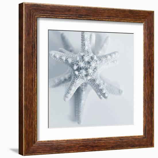 Midnight Starfish-Tracey Telik-Framed Art Print