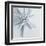 Midnight Starfish-Tracey Telik-Framed Art Print