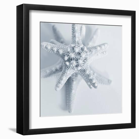 Midnight Starfish-Tracey Telik-Framed Art Print