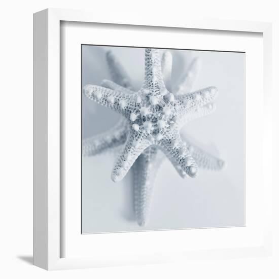 Midnight Starfish-Tracey Telik-Framed Art Print